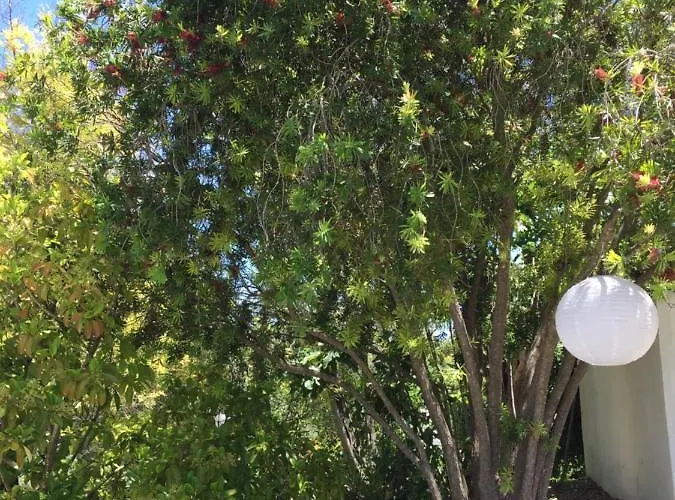 Bed and breakfast Casa Baliza, Adults Only Alhaurín el Grande