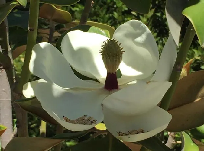 Casa Baliza, Adults Only 4* Alhaurín el Grande