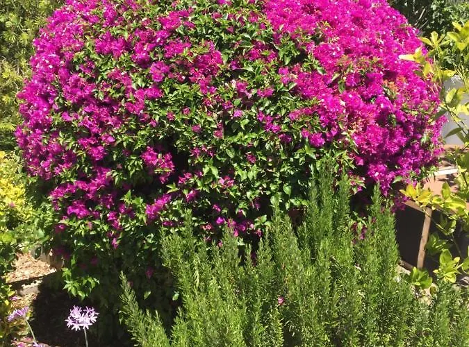 Casa Baliza, Adults Only Bed and breakfast Alhaurín el Grande