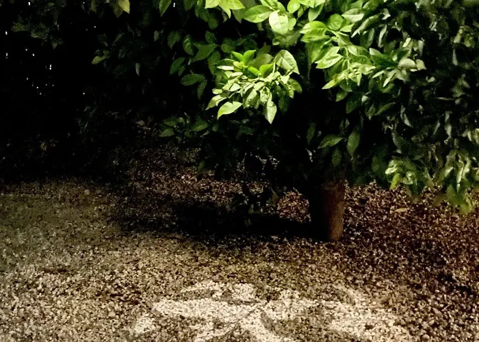 Casa Baliza, Adults Only